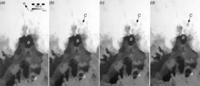 Remotesensing 05 03239f10 200