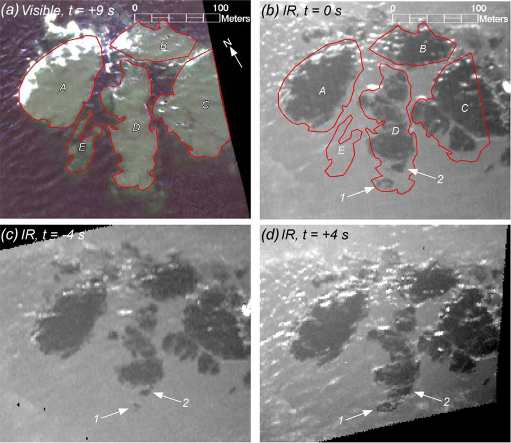 Remotesensing 05 03239f7 1024