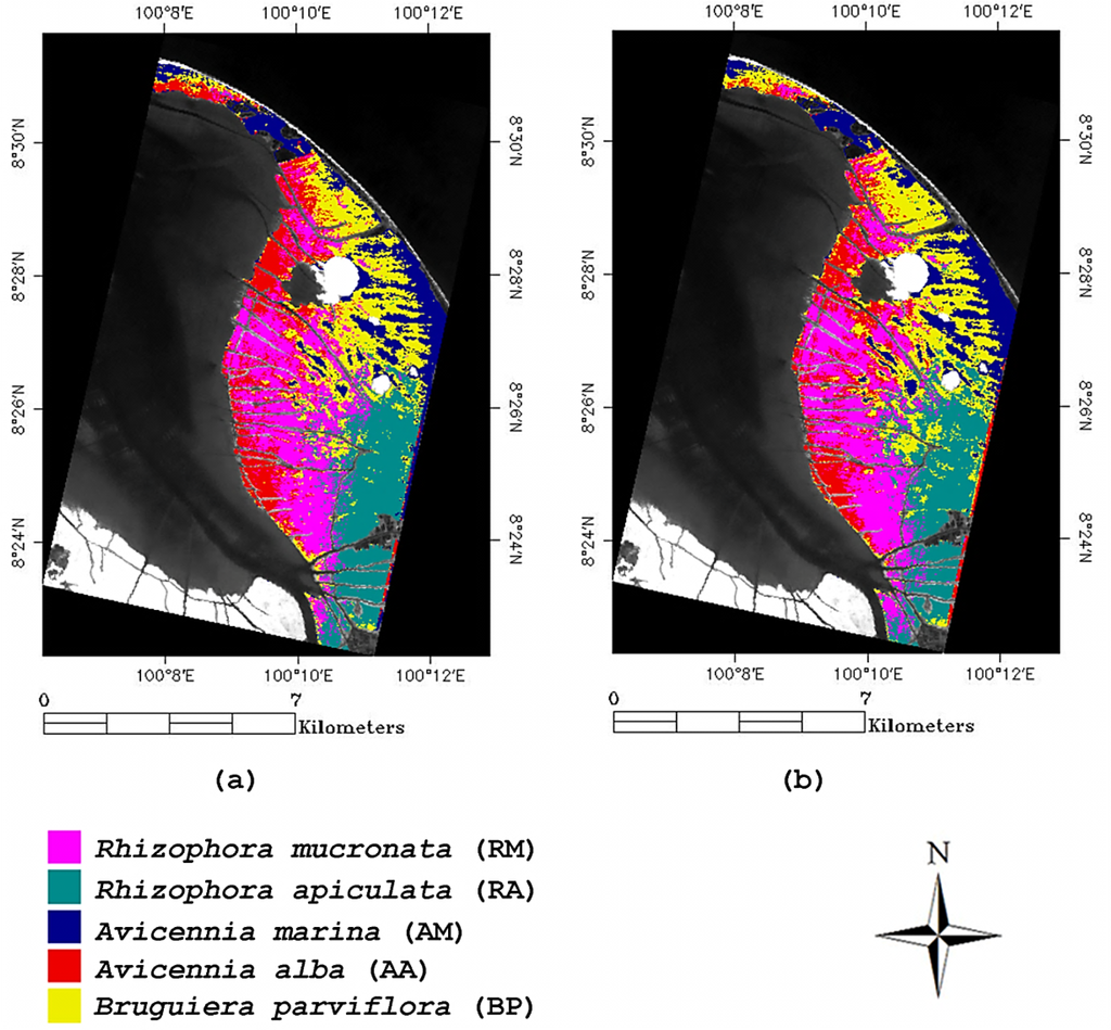 Remotesensing 05 03562f6 1024