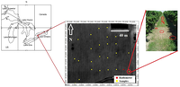 Remotesensing 05 03729f1 200