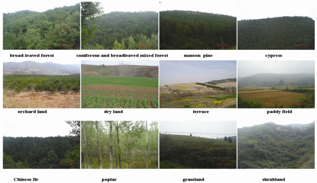 Remotesensing 05 03826f2 1024
