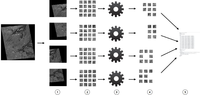 Remotesensing 05 04488f2 200
