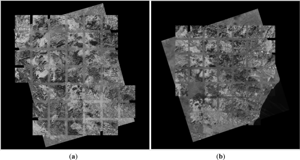 Remotesensing 05 04488f3 1024