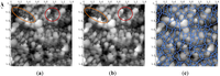 Remotesensing 05 04571f4 200