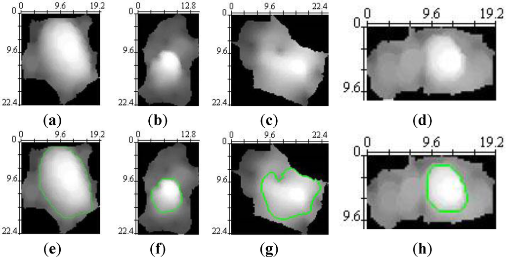 Remotesensing 05 04571f7 1024