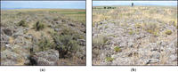 Remotesensing 05 04857f2 200