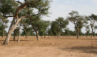 Remotesensing 05 04900f2 200