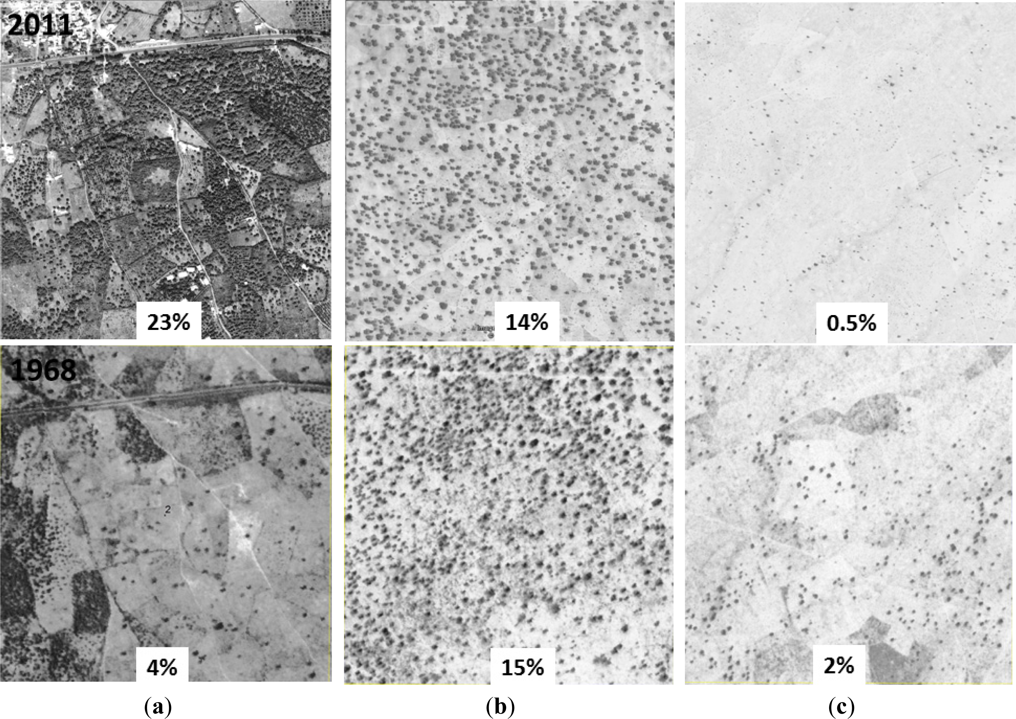 Remotesensing 05 04900f9