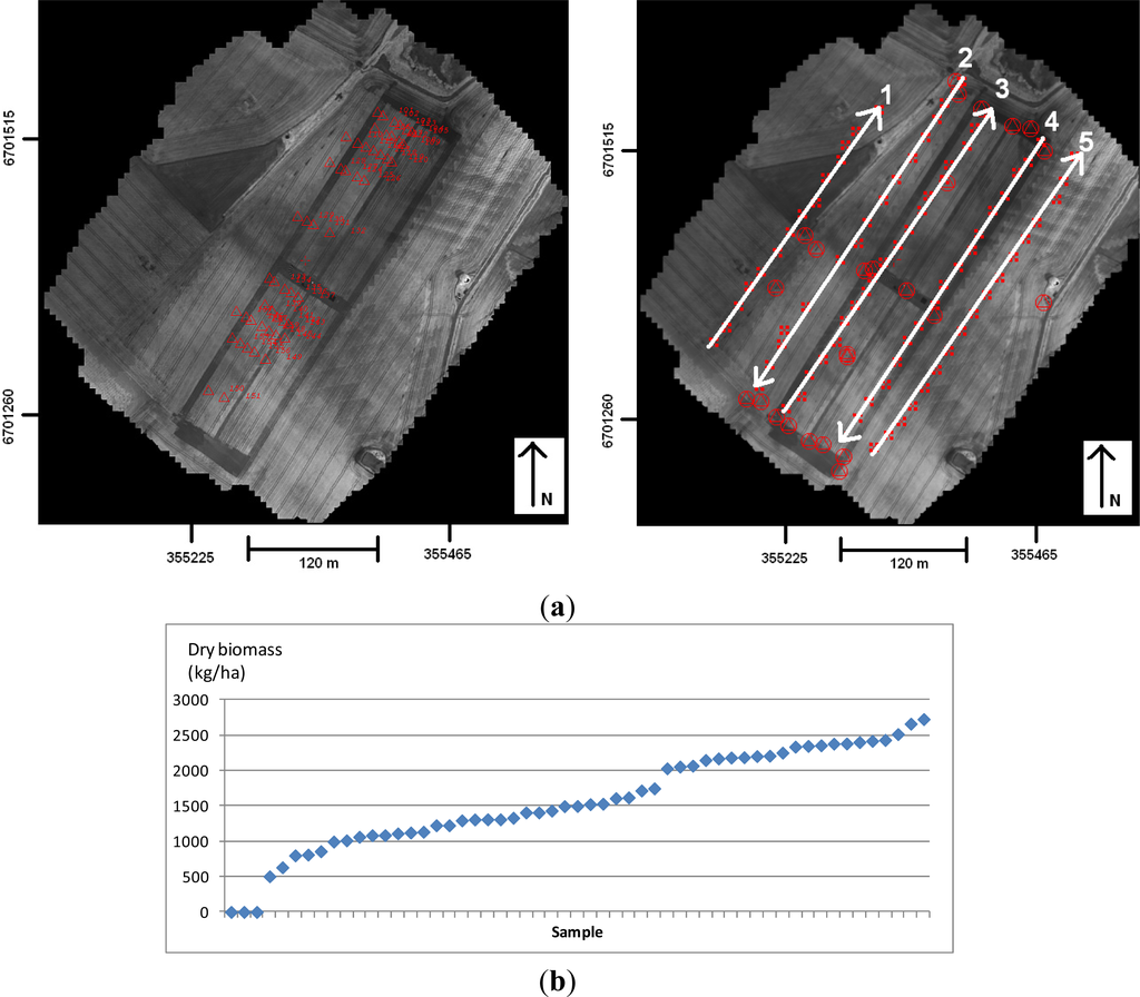 Remotesensing 05 05006f4 1024