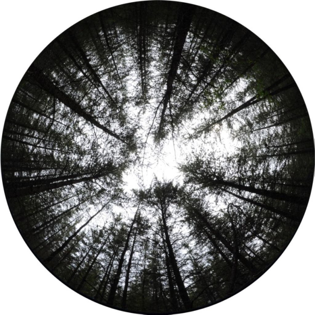 Remotesensing 05 05040f6 1024
