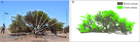 Remotesensing 05 05064f3 200