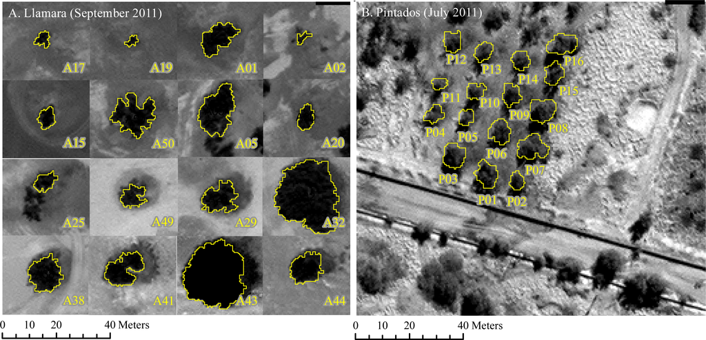 Remotesensing 05 05064f4 1024