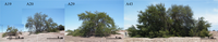Remotesensing 05 05064f5 200