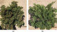 Remotesensing 05 05330f1 200