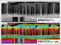 Remotesensing 05 05424f5 200