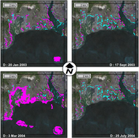 Remotesensing 05 05662f10 200