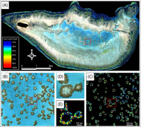Remotesensing 05 06116f10 200