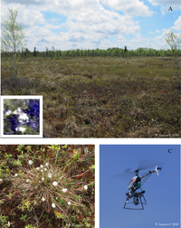 Remotesensing 05 06501f1 200
