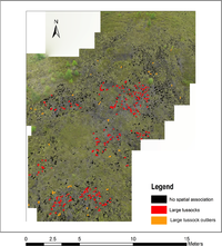 Remotesensing 05 06501f4 200