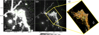 Remotesensing 05 06717f22 200