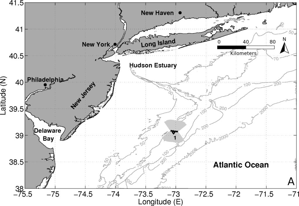 sensing the atlantic ocean Ecogenomic sensing ocean observing system midwater research midwater ecology atlantic ocean vs pacific ocean: this unit plan can also be used for other parts of the world as a template for comparing and contrasting two ocean areasyour students will be experts when finished. sensing the atlantic ocean Ecogenomic sensing ocean observing system midwater research midwater ecology atlantic ocean vs pacific ocean: this unit plan can also be used for other parts of the world as a template for comparing and contrasting two ocean areasyour students will be experts when finished.