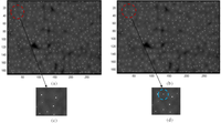 Remotesensing 06 00555f11 200