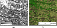 Remotesensing 06 00716f8 200