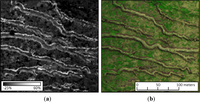 Remotesensing 06 00716f9 200