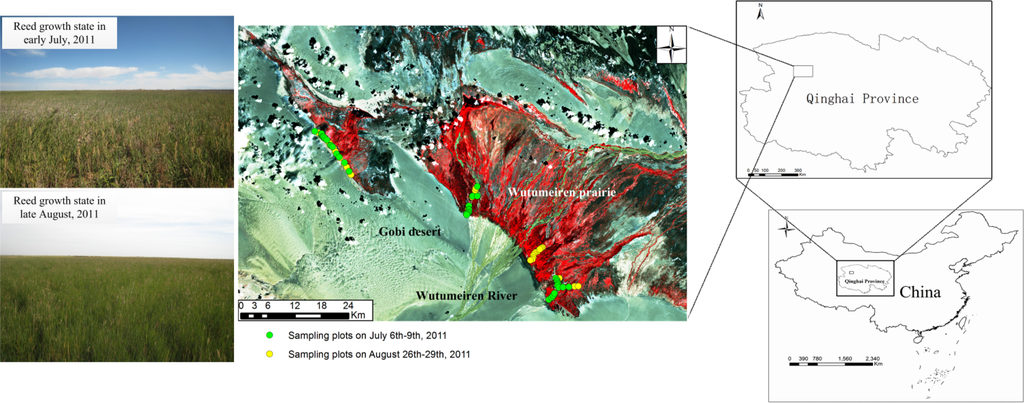 Remotesensing 06 01171f2 1024