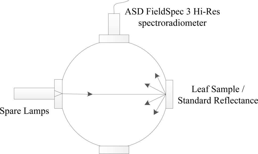 Remotesensing 06 01538f1 1024