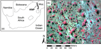 Remotesensing 06 02682f1 200