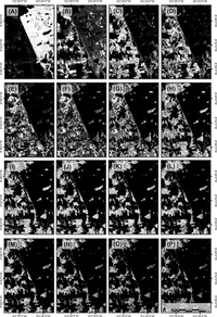Remotesensing 06 02989f6 200