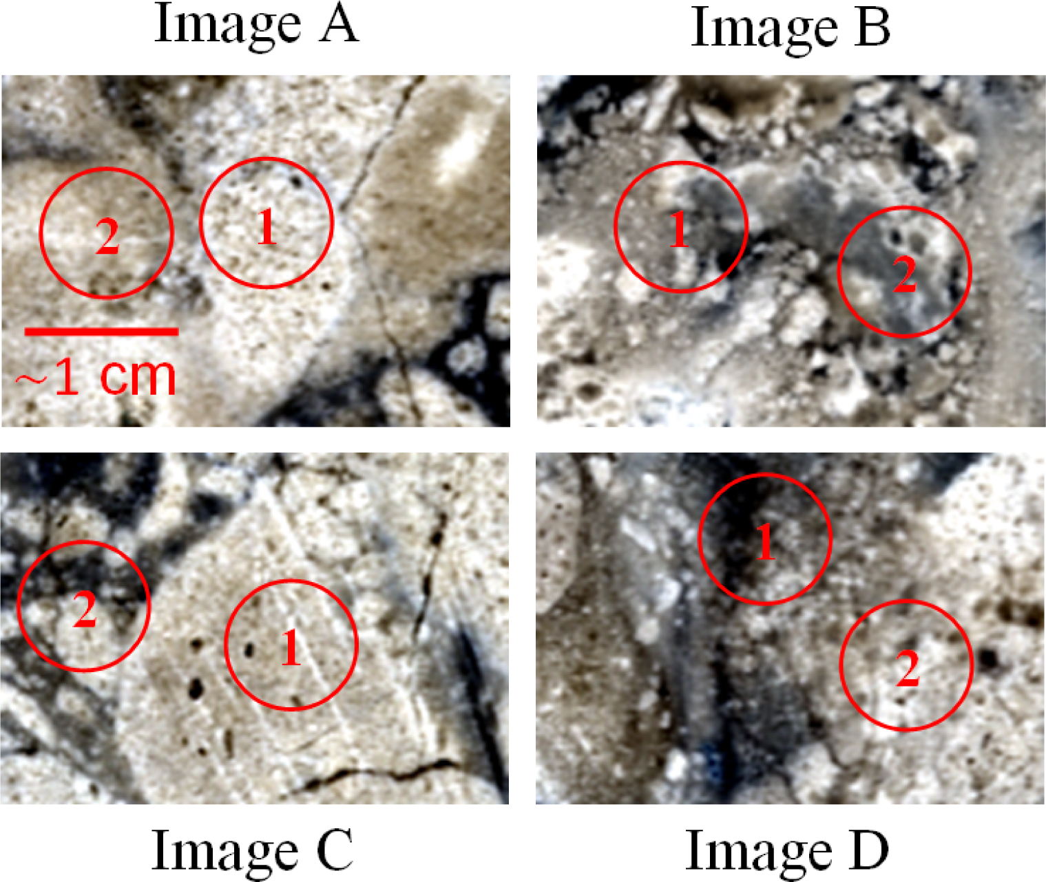 Remotesensing 06 04149f3 1024