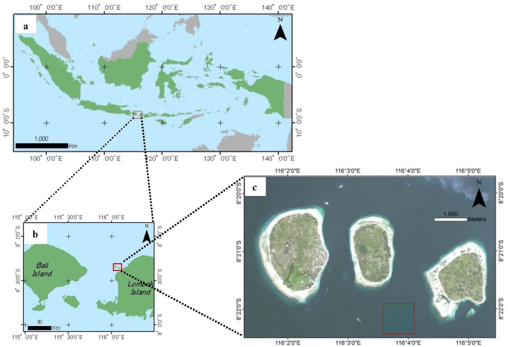 Remotesensing 06 04454f2 1024