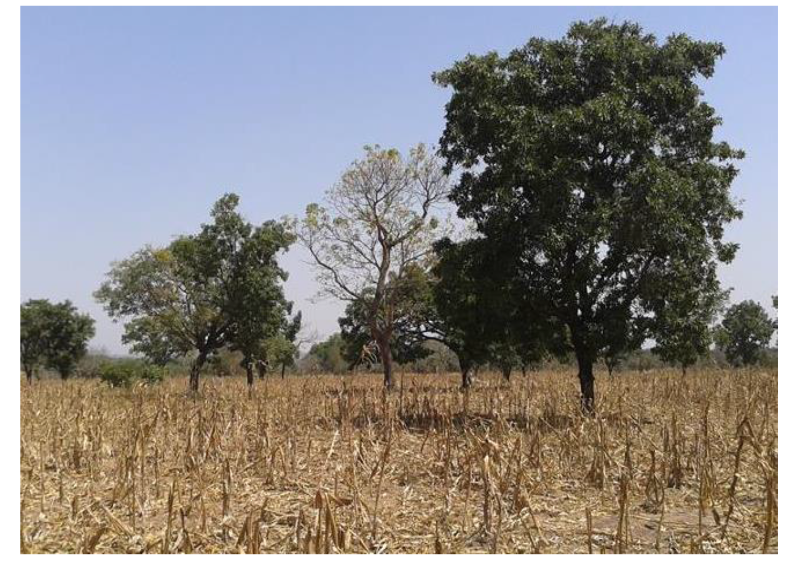 Remotesensing 07 12076 g006