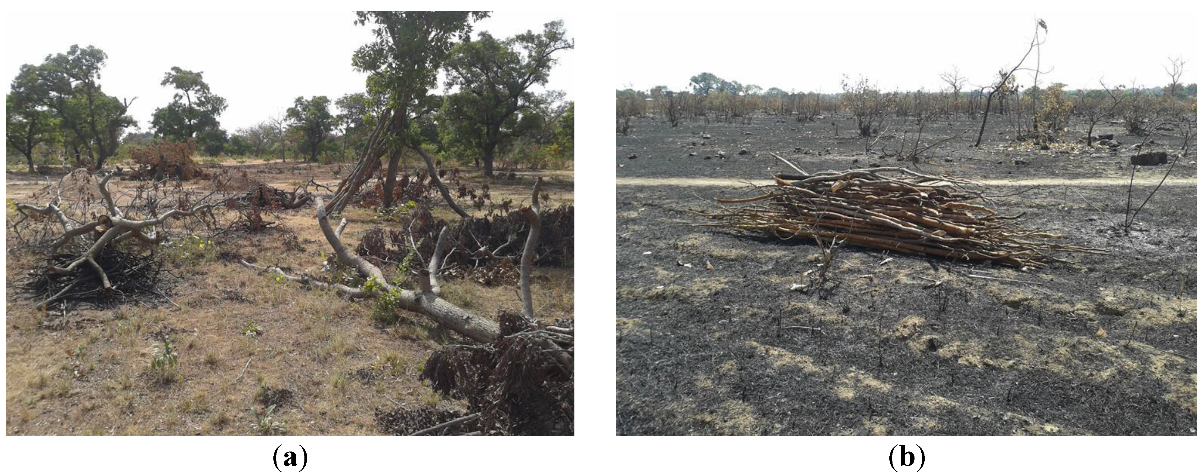 Remotesensing 07 12076 g007