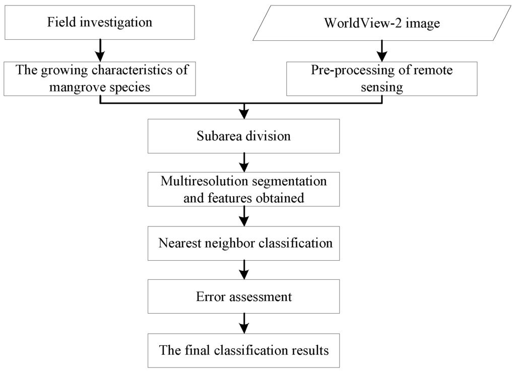 K nearest neighbour classification example essay