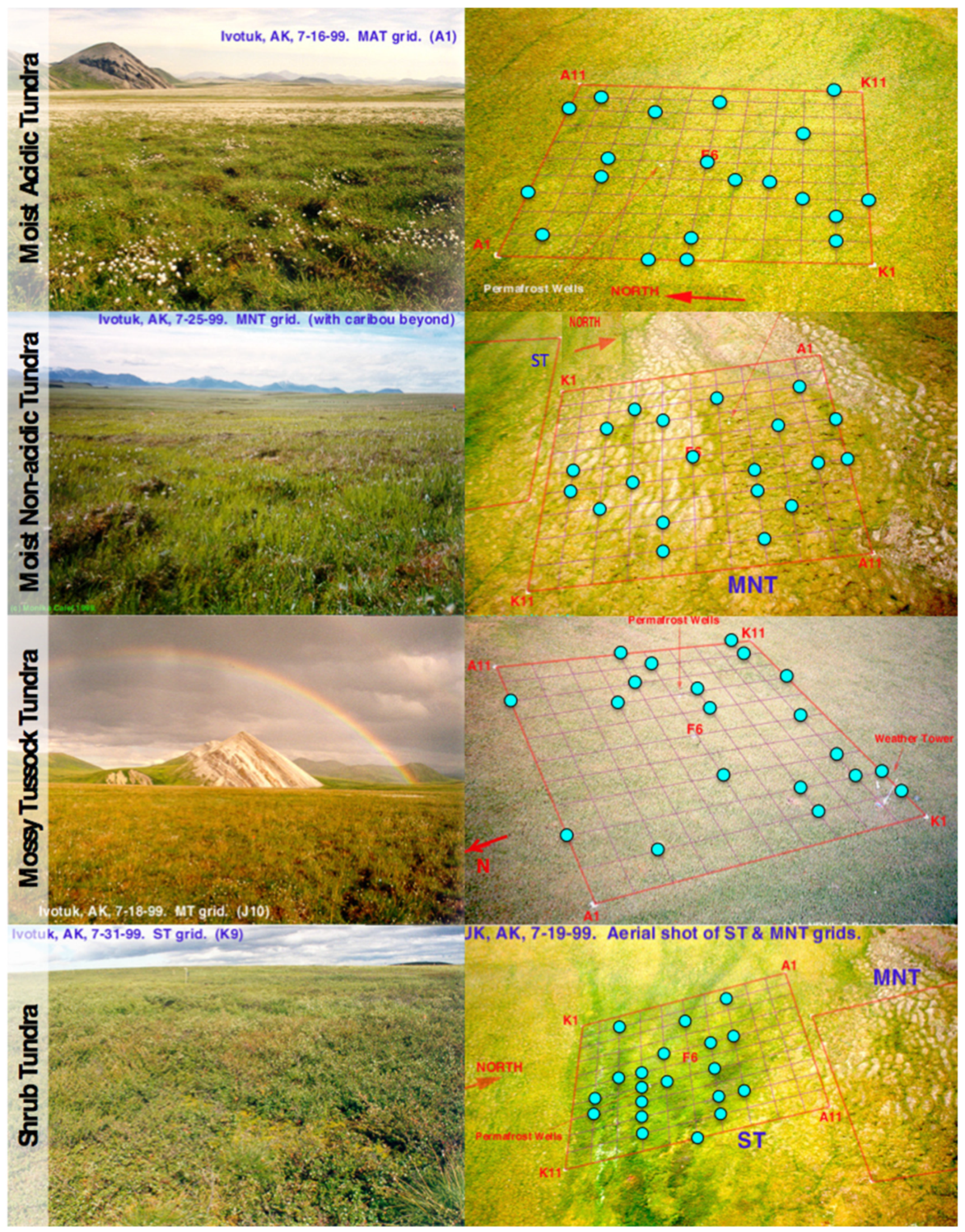 Remotesensing 08 00051 g003