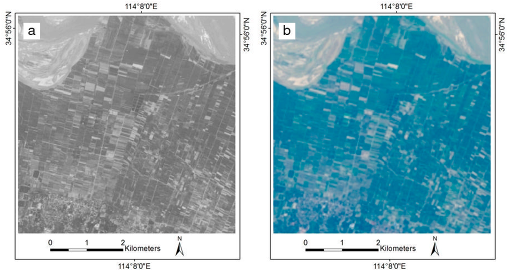 Remotesensing 08 00180 g007a 1024