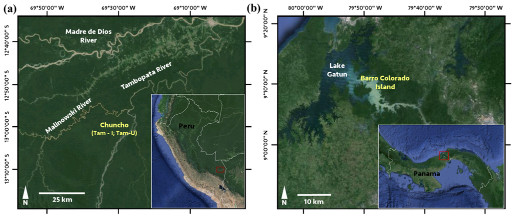 Remotesensing 08 00196 g001 1024