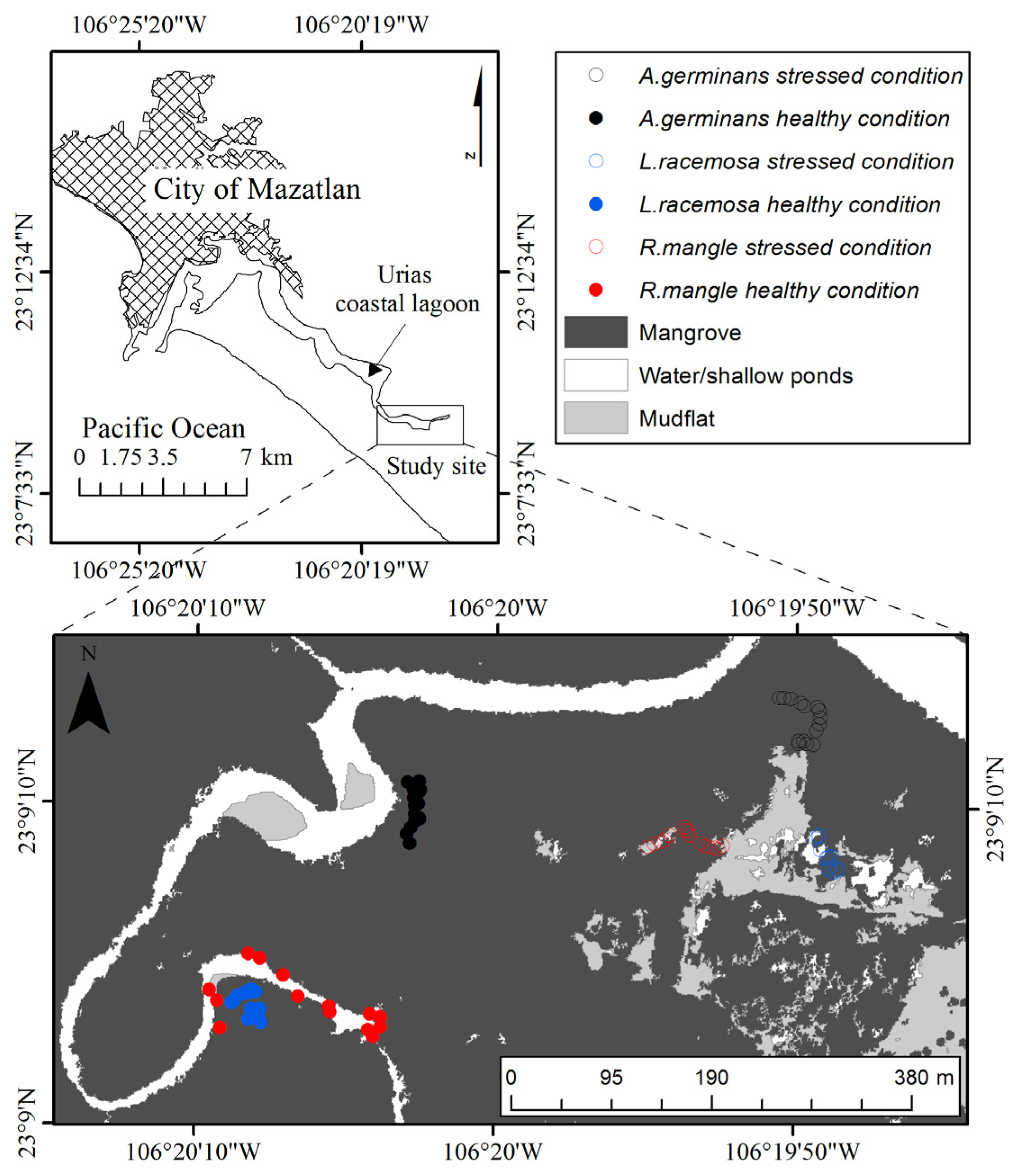 Remotesensing 08 00226 g001
