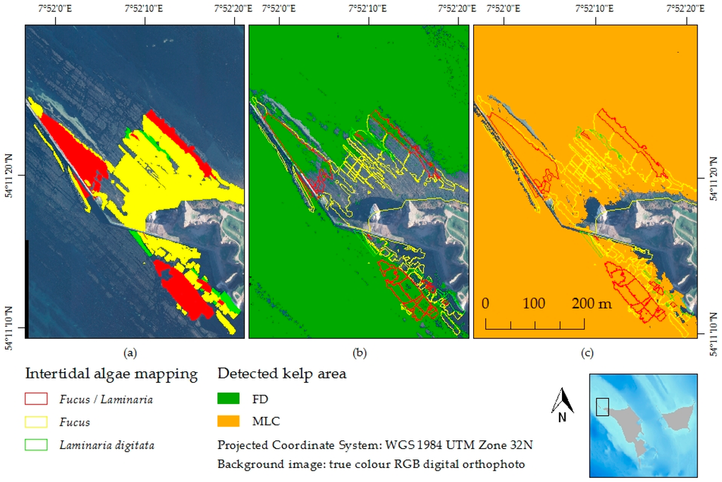 download superplumes beyond plate tectonics