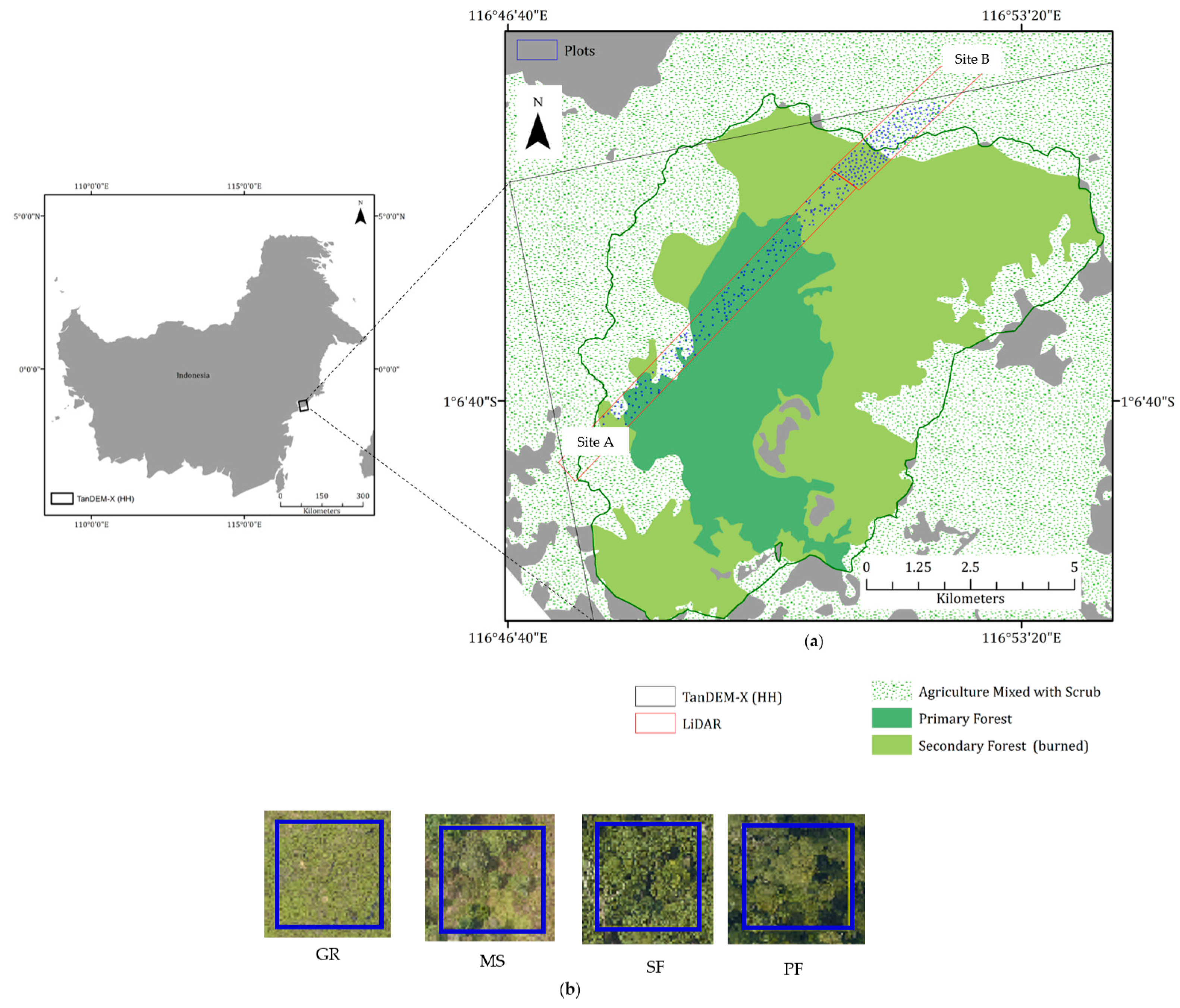 Remotesensing 08 00641 g001