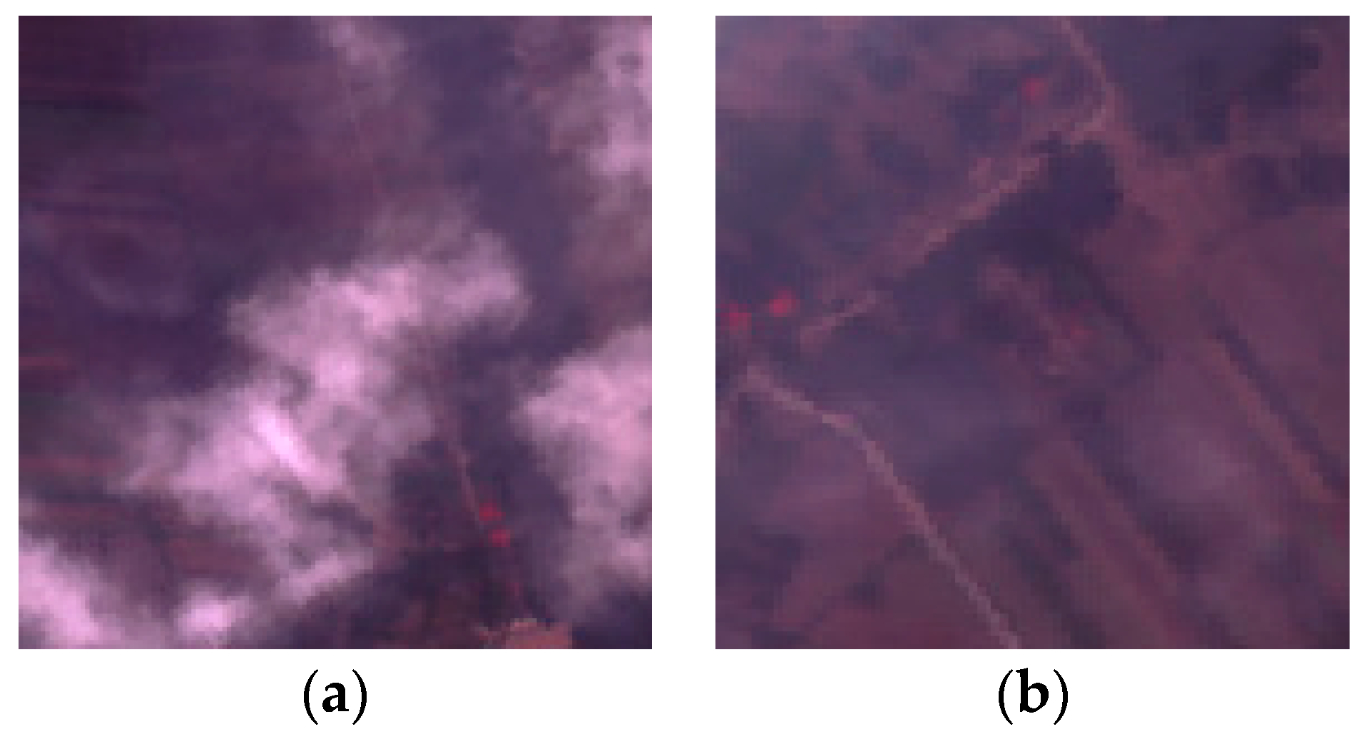 Remotesensing 08 00715 g001