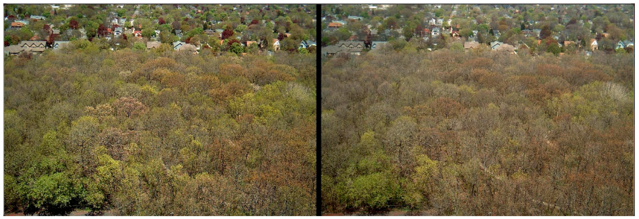 Remotesensing 08 00726 g005
