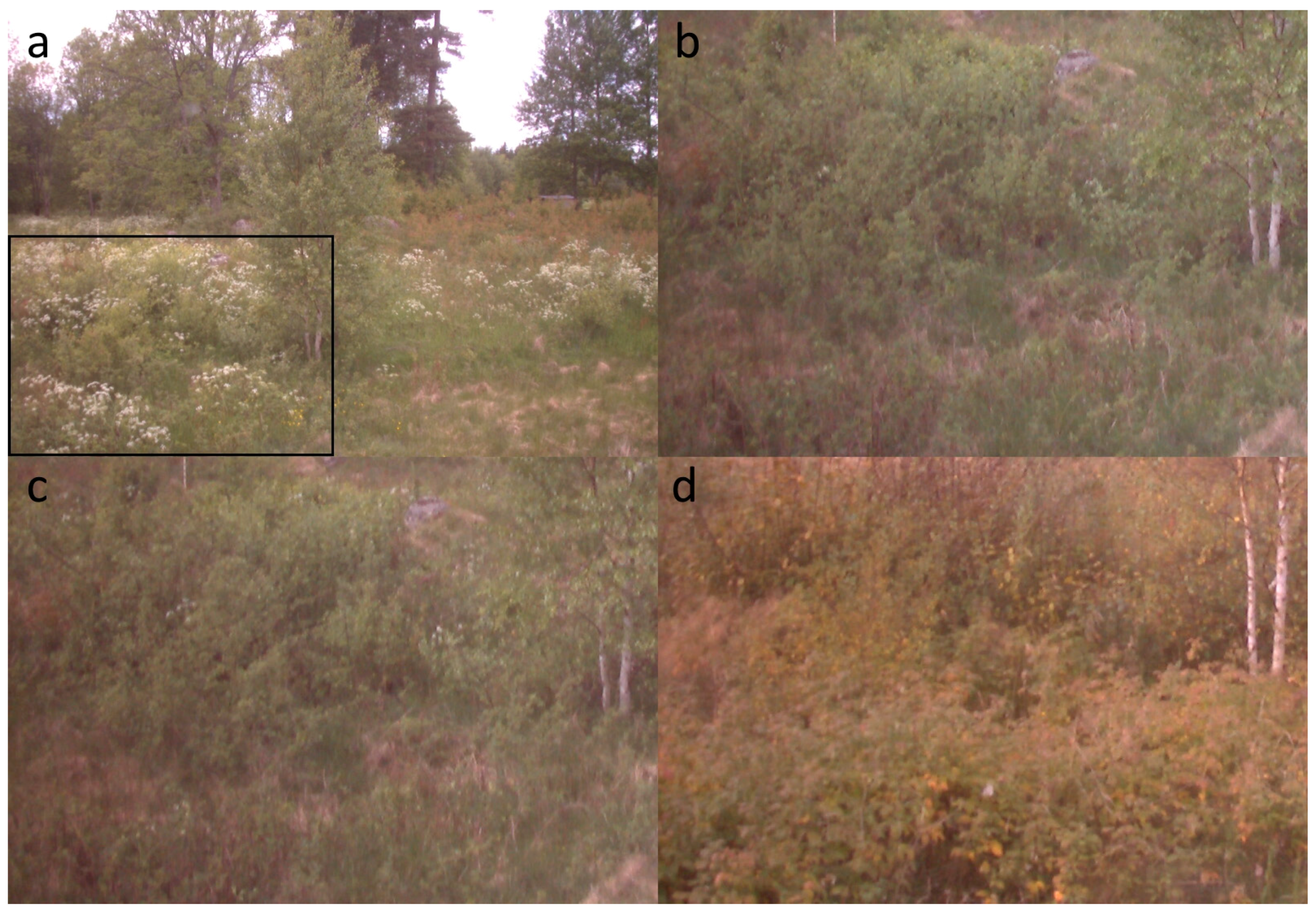 Remotesensing 08 00726 g006