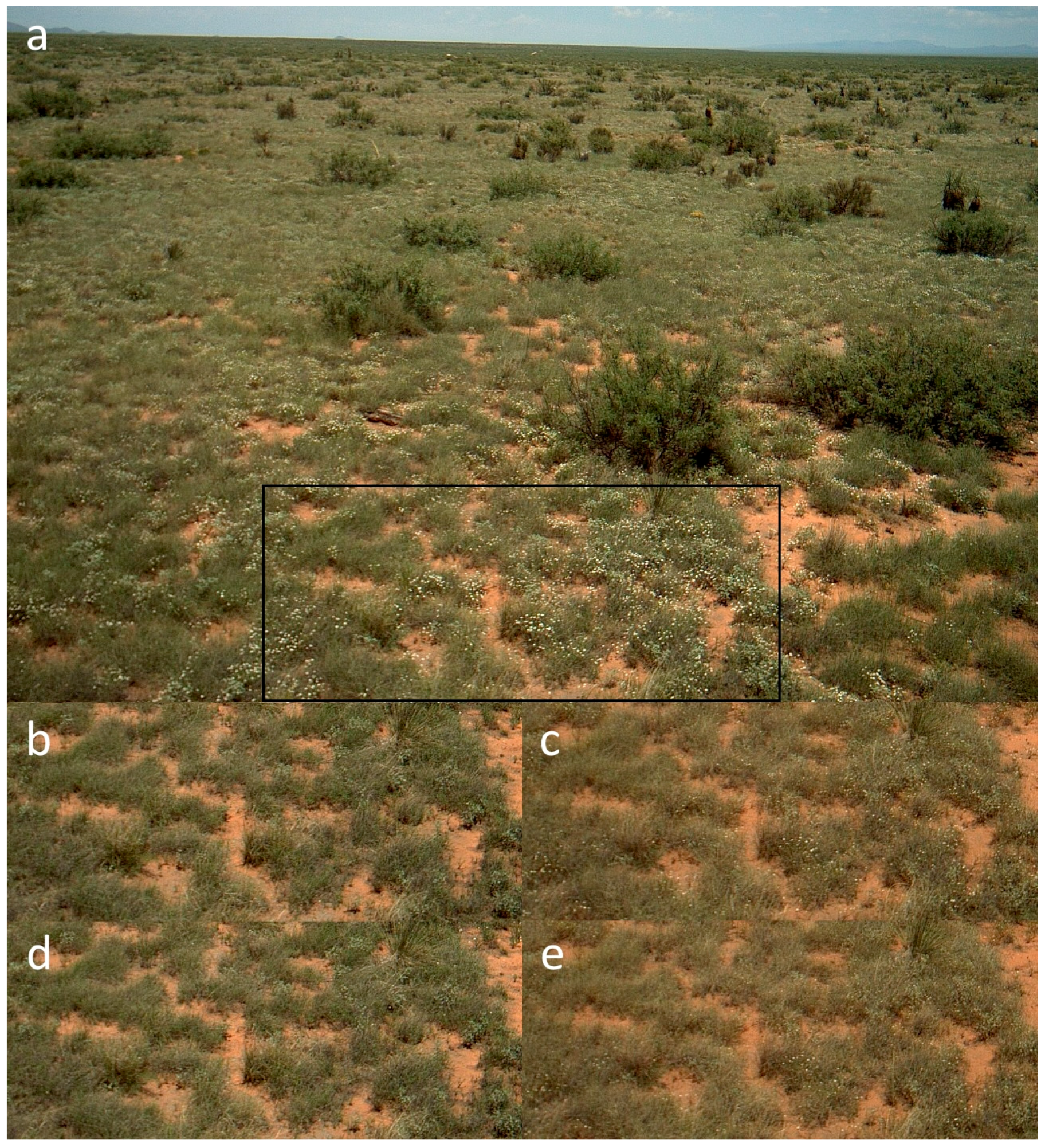 Remotesensing 08 00726 g007