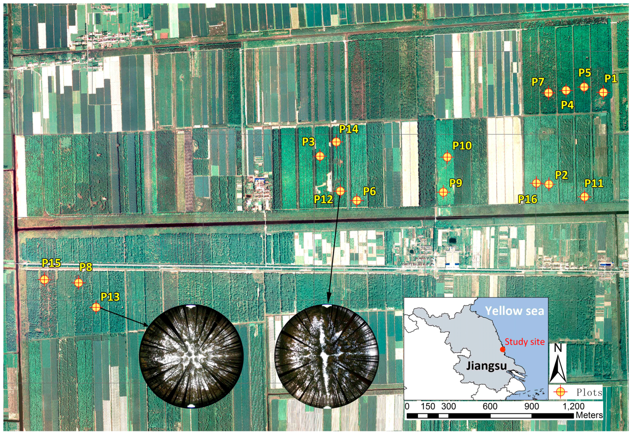 Remotesensing 08 00729 g002