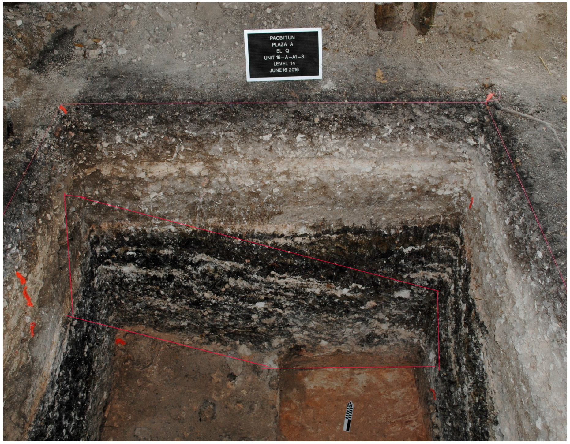 Remotesensing 08 00805 g010