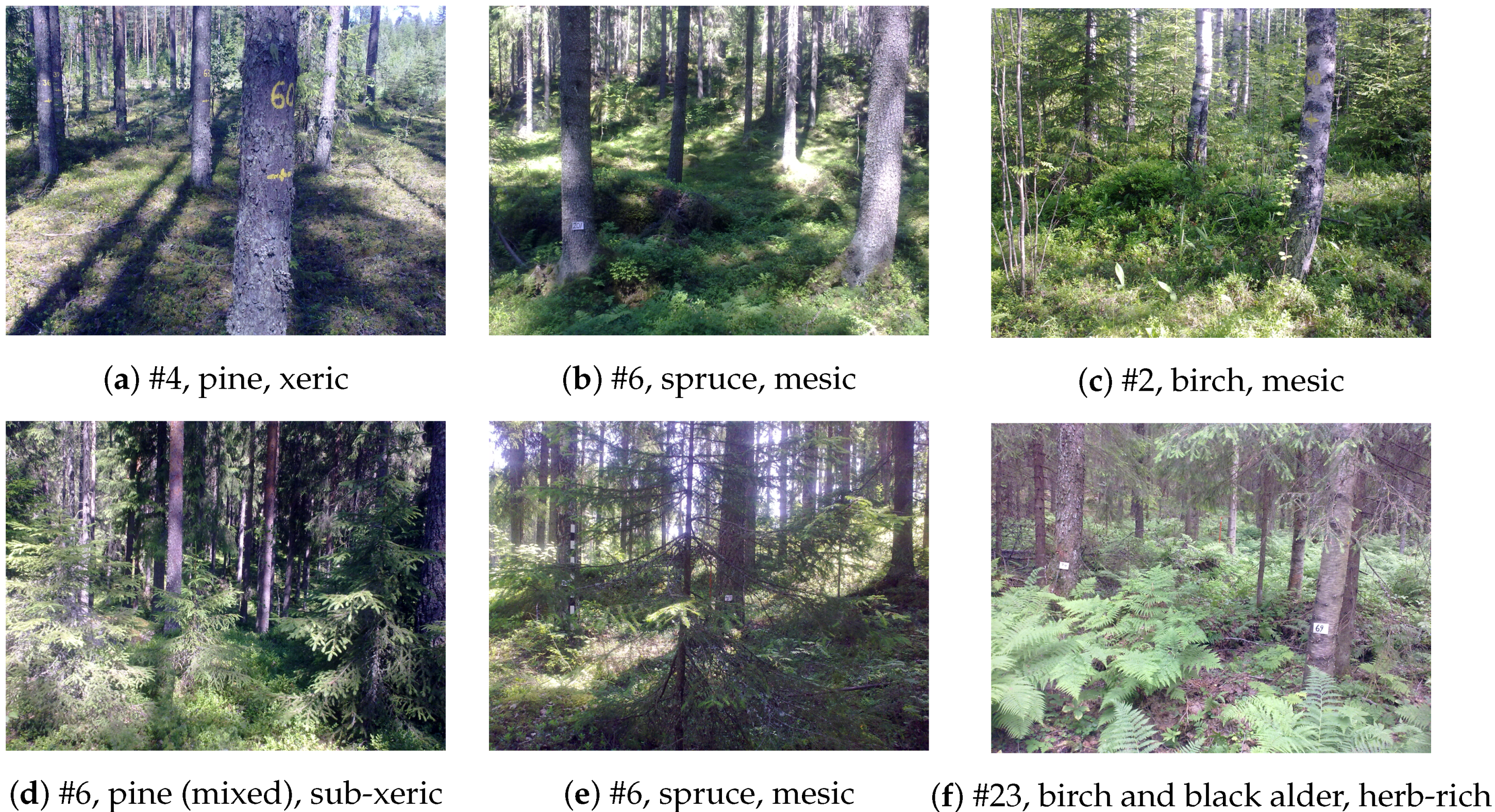 Remotesensing 08 00869 g002